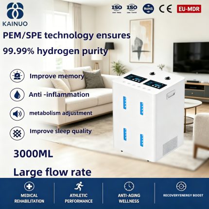 Commercial Hydrogen Generator PEM Hydrogen Production Equipment High Concentration Hydrogen Generator Machine